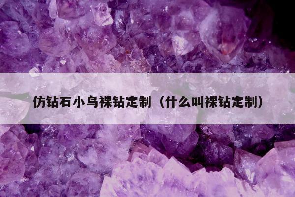 仿钻石小鸟裸钻定制（什么叫裸钻定制）