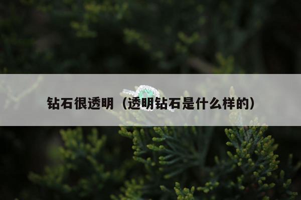 钻石很透明（透明钻石是什么样的）