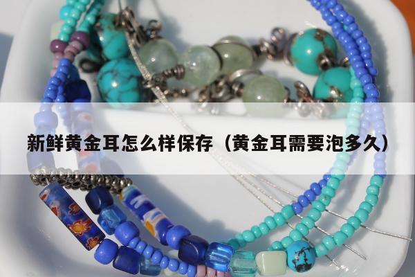 新鲜黄金耳怎么样保存（黄金耳需要泡多久）