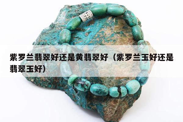 紫罗兰翡翠好还是黄翡翠好（紫罗兰玉好还是翡翠玉好）
