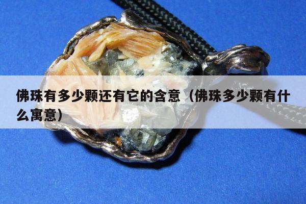 佛珠有多少颗还有它的含意（佛珠多少颗有什么寓意）