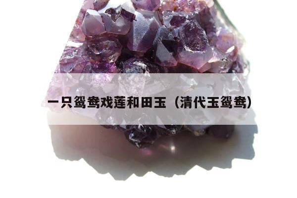 一只鸳鸯戏莲和田玉（清代玉鸳鸯）