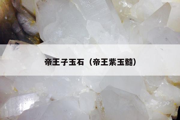 帝王子玉石（帝王紫玉髓）