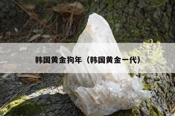 韩国黄金狗年（韩国黄金一代）