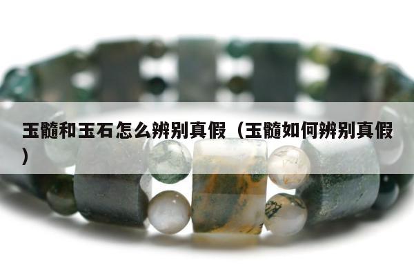 玉髓和玉石怎么辨别真假（玉髓如何辨别真假）
