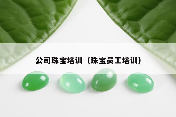 公司珠宝培训（珠宝员工培训）