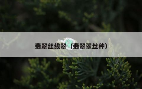 翡翠丝线翠（翡翠翠丝种）