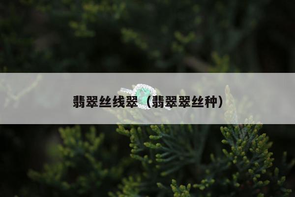 翡翠丝线翠（翡翠翠丝种）