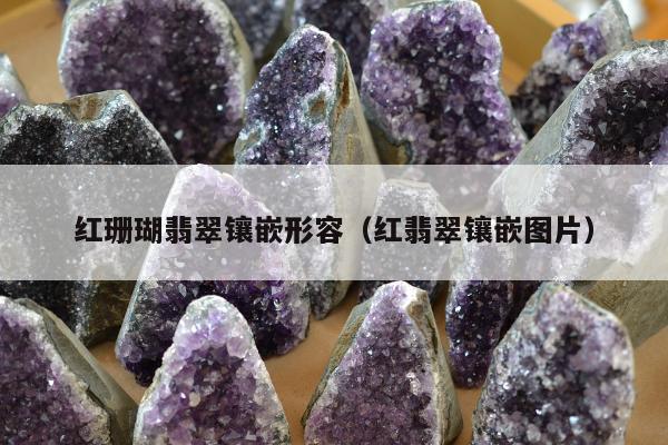 红珊瑚翡翠镶嵌形容（红翡翠镶嵌图片）