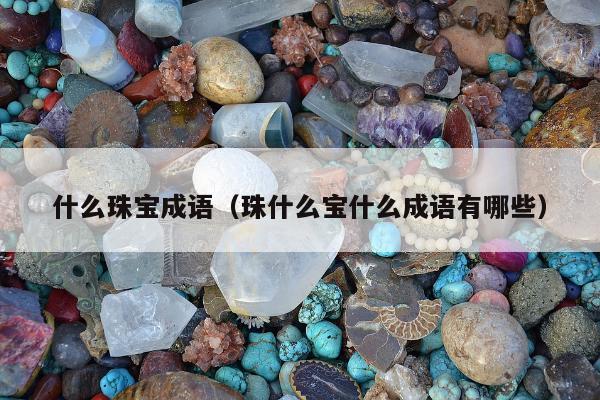 什么珠宝成语（珠什么宝什么成语有哪些）