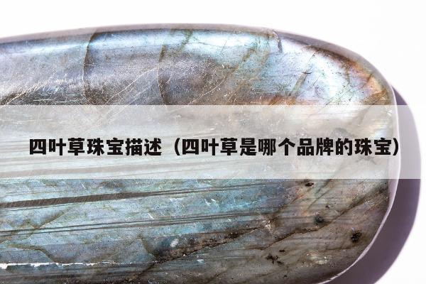 四叶草珠宝描述（四叶草是哪个品牌的珠宝）