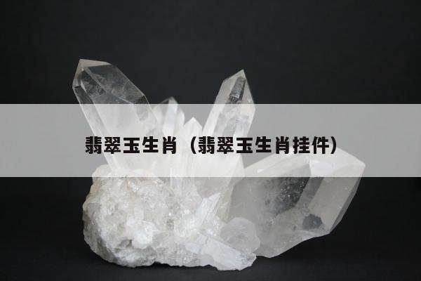 翡翠玉生肖（翡翠玉生肖挂件）