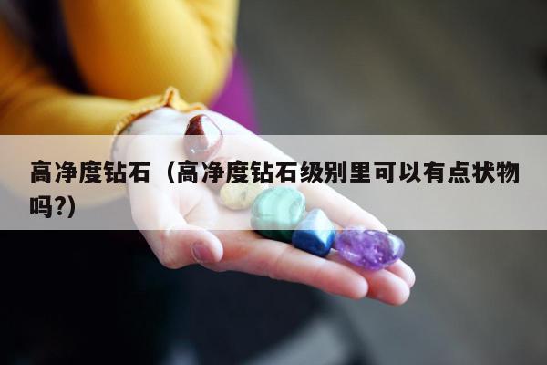 高净度钻石（高净度钻石级别里可以有点状物吗?）