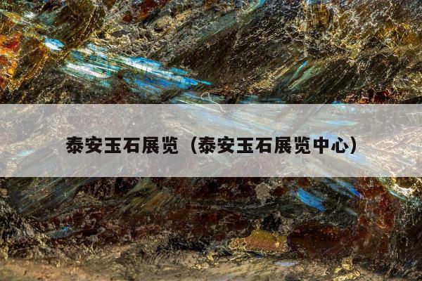 泰安玉石展览（泰安玉石展览中心）