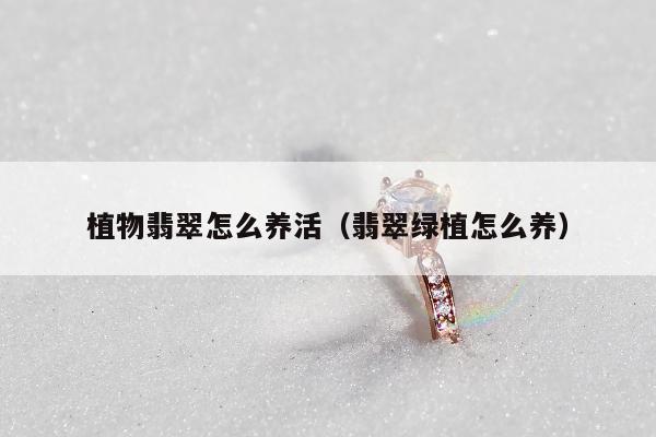 植物翡翠怎么养活（翡翠绿植怎么养）
