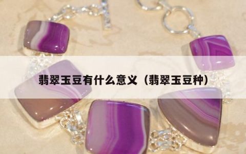 翡翠玉豆有什么意义（翡翠玉豆种）