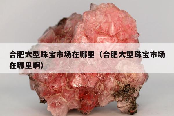 合肥大型珠宝市场在哪里（合肥大型珠宝市场在哪里啊）
