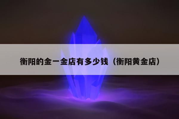 衡阳的金一金店有多少钱（衡阳黄金店）