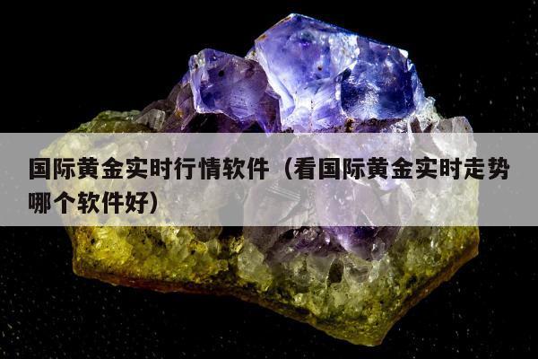 国际黄金实时行情软件（看国际黄金实时走势哪个软件好）