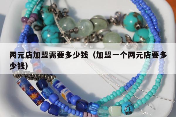 两元店加盟需要多少钱（加盟一个两元店要多少钱）