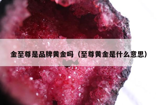 金至尊是品牌黄金吗（至尊黄金是什么意思）