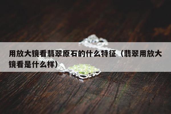 用放大镜看翡翠原石的什么特征（翡翠用放大镜看是什么样）