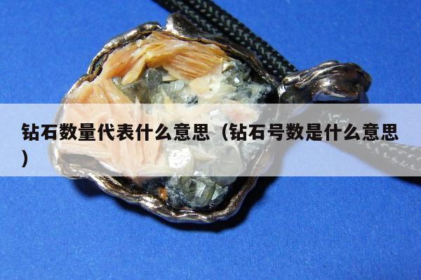 钻石数量代表什么意思（钻石号数是什么意思）