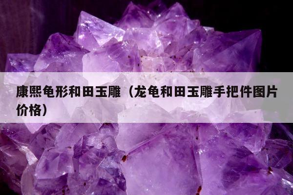 康熙龟形和田玉雕（龙龟和田玉雕手把件图片价格）