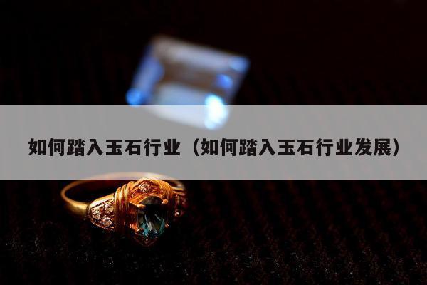 如何踏入玉石行业（如何踏入玉石行业发展）