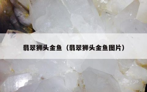 翡翠狮头金鱼（翡翠狮头金鱼图片）