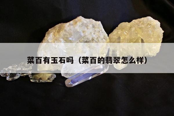菜百有玉石吗（菜百的翡翠怎么样）
