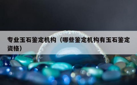 专业玉石鉴定机构（哪些鉴定机构有玉石鉴定资格）