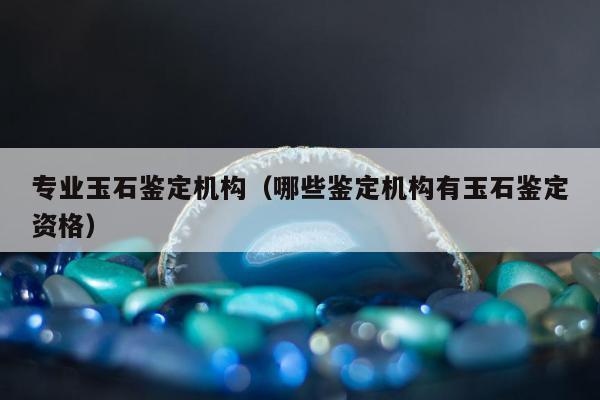 专业玉石鉴定机构（哪些鉴定机构有玉石鉴定资格）