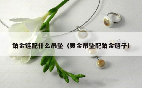 铂金链配什么吊坠（黄金吊坠配铂金链子）