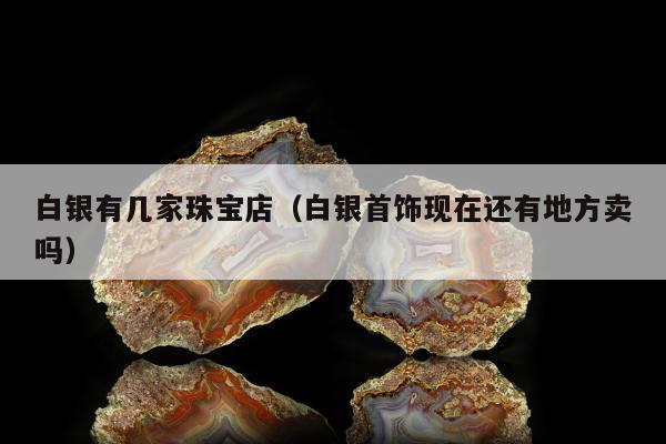 白银有几家珠宝店（白银首饰现在还有地方卖吗）