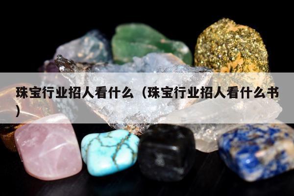 珠宝行业招人看什么（珠宝行业招人看什么书）