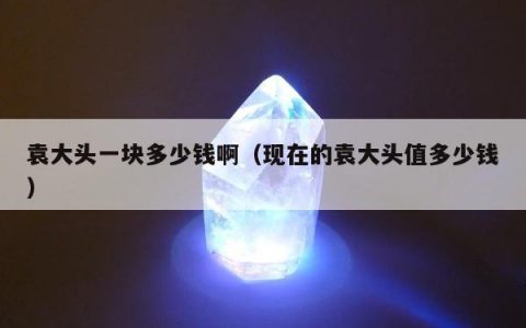 袁大头一块多少钱啊（现在的袁大头值多少钱）