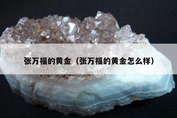 张万福的黄金（张万福的黄金怎么样）