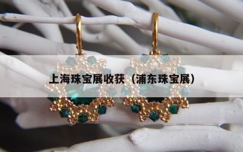 上海珠宝展收获（浦东珠宝展）