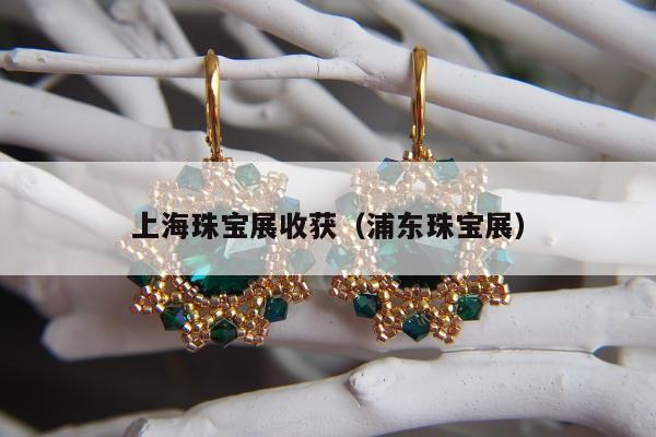 上海珠宝展收获（浦东珠宝展）