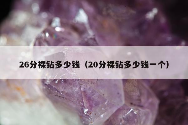 6分裸钻多少钱（20分裸钻多少钱一个）"