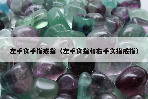左手食手指戒指（左手食指和右手食指戒指）