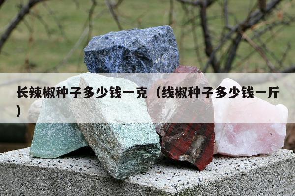 长辣椒种子多少钱一克（线椒种子多少钱一斤）