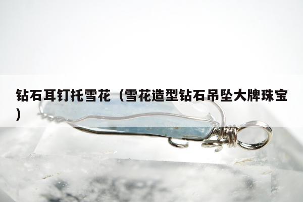 钻石耳钉托雪花（雪花造型钻石吊坠大牌珠宝）