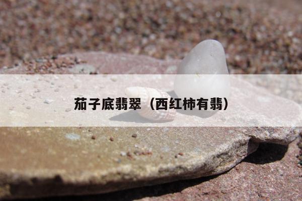 茄子底翡翠（西红柿有翡）