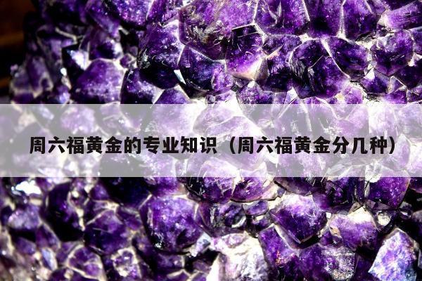 周六福黄金的专业知识（周六福黄金分几种）
