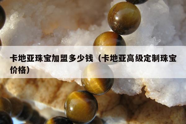 卡地亚珠宝加盟多少钱（卡地亚高级定制珠宝价格）