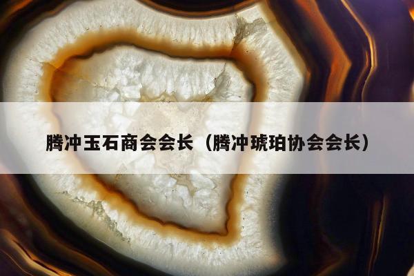 腾冲玉石商会会长（腾冲琥珀协会会长）