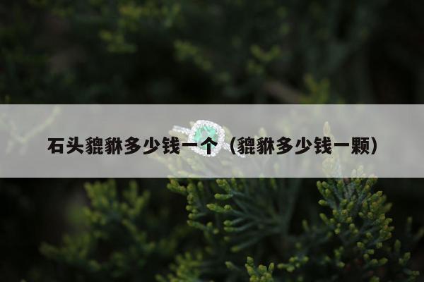 石头貔貅多少钱一个（貔貅多少钱一颗）