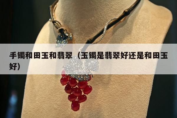 手镯和田玉和翡翠（玉镯是翡翠好还是和田玉好）